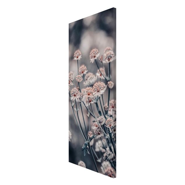Obrazy nowoczesny Mistyczna krzewinka kwitnąca