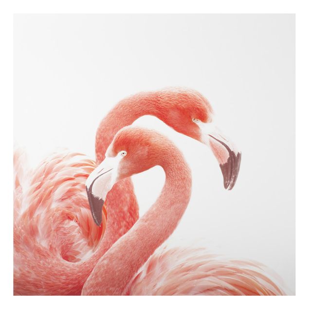Obrazy do salonu nowoczesne Dwa flamingi