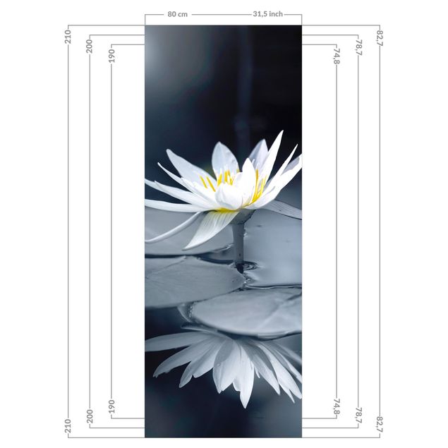 Tylna ścianka prysznicowa - Lotus Reflection In The Water