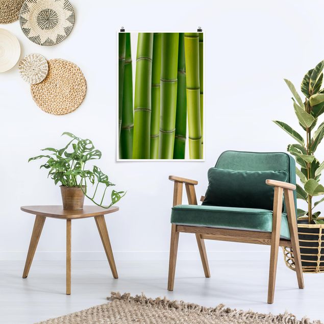 Obrazy nowoczesny Rośliny bambusowe