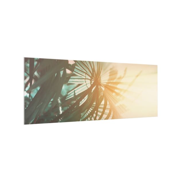 Panel szklany do kuchni - Rośliny tropikalne Palmy o zachodzie słońca