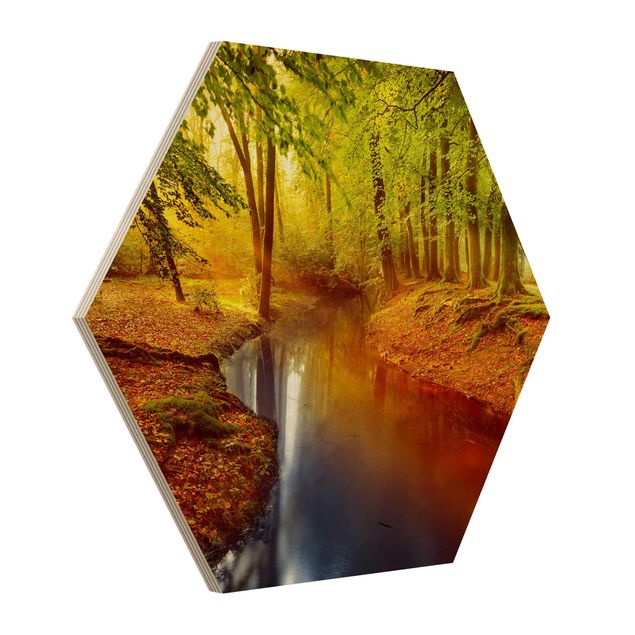 Obraz heksagonalny z drewna - Las jesienny