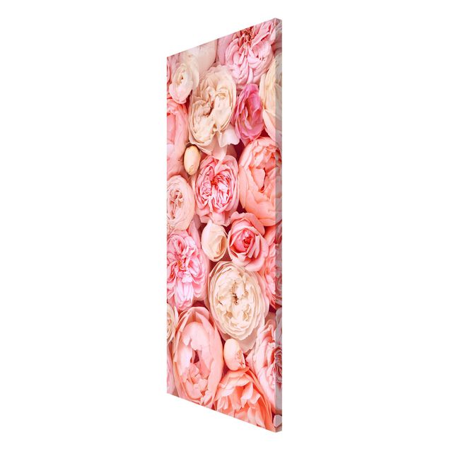 Obrazy nowoczesne Rosy Rosé Coral Shabby