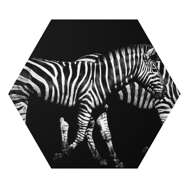 Zebra obraz Zebra przed Czarnym