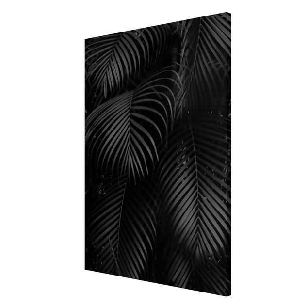 Nowoczesne obrazy Czarne liście palmy