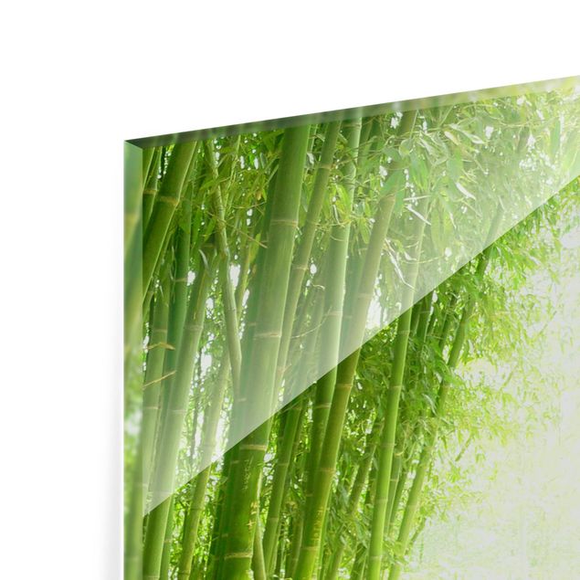 Panel szklany do kuchni - Droga bambusowa
