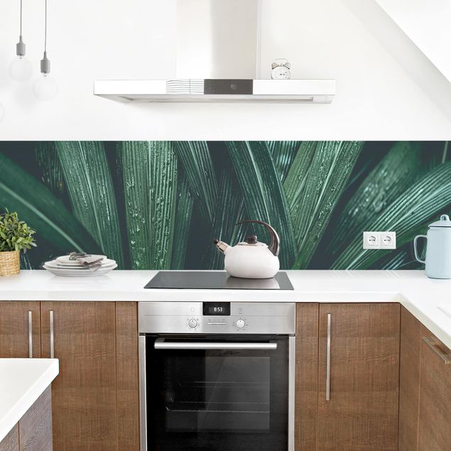 Panele szklane do kuchni Zielone liście palmy