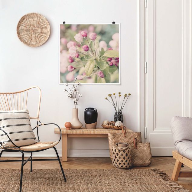 Obrazy do salonu nowoczesne Kwiat jabłoni bokeh różowy