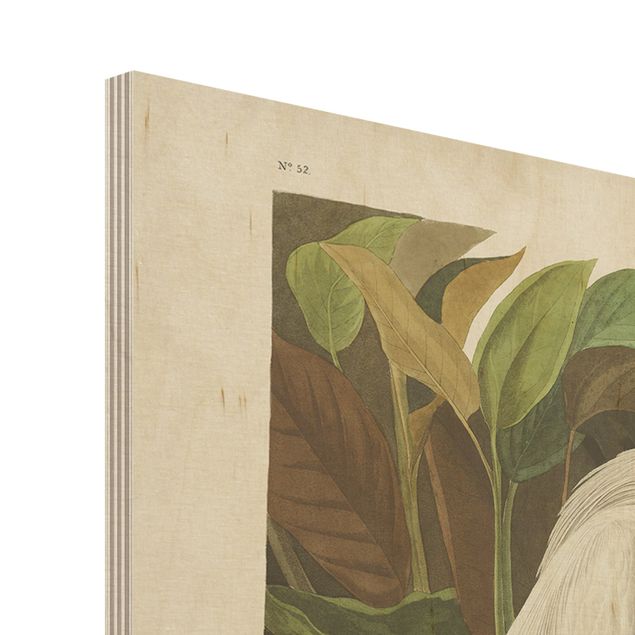 Obraz z drewna - Tablica edukacyjna w stylu vintage Czapla purpurowa