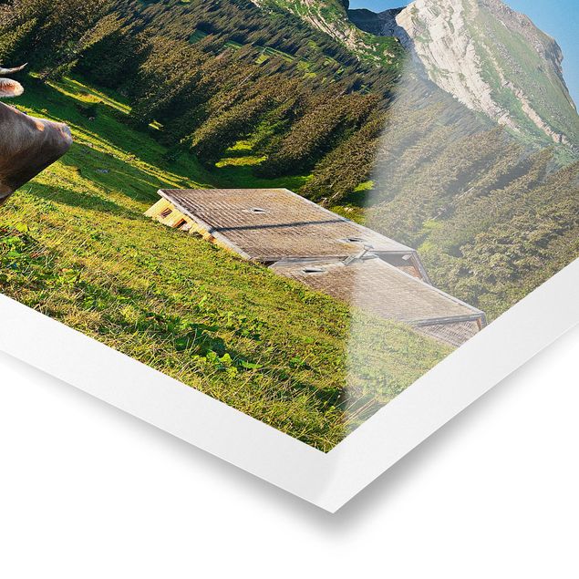 Obrazy drzewa Szwajcarska łąka alpejska z krową