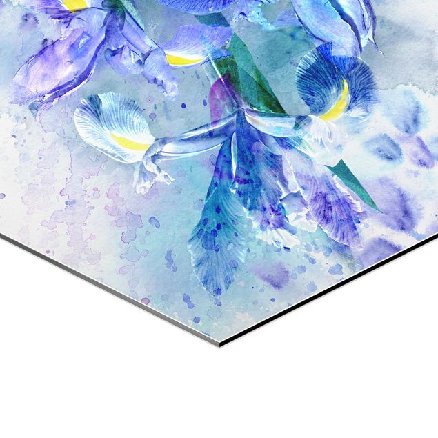 Obraz heksagonalny z Alu-Dibond - Akwarela Kwiaty Irys