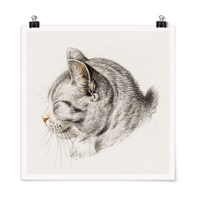 Obrazy zwierzęta Zabytkowy rysunek Kot III
