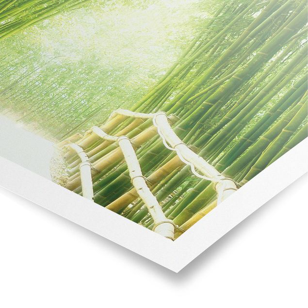 Obrazy krajobraz Droga bambusowa