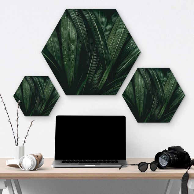 Obraz heksagonalny z drewna - Zielone liście palmy