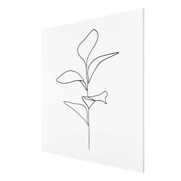 Nowoczesne obrazy Line Art Liście roślin Czarne Białe