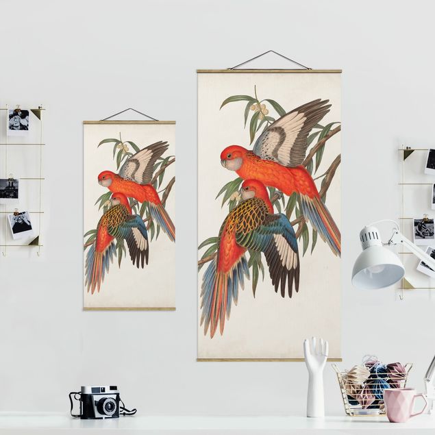 Obrazy motywy kwiatowe Papugi tropikalne I
