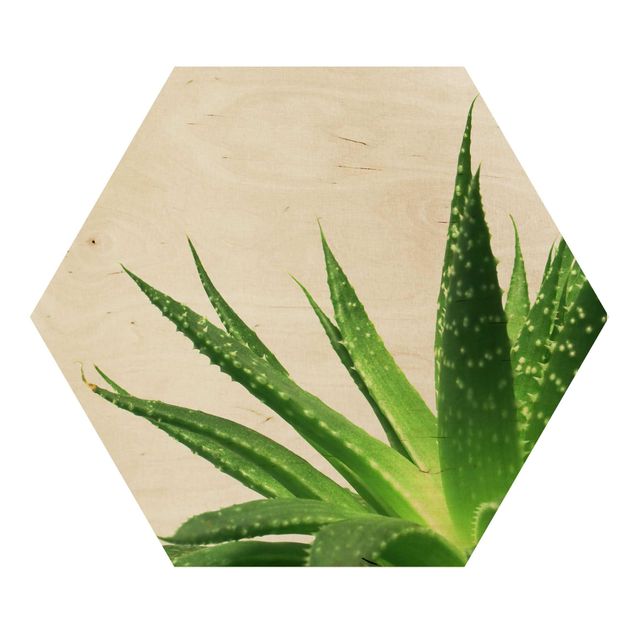 Obraz heksagonalny z drewna - Aloe Vera