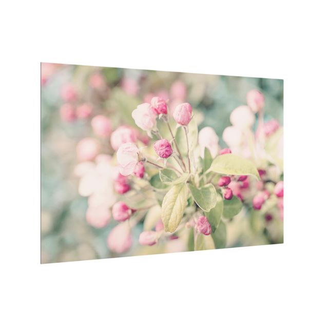 Panel szklany do kuchni Apple Blossom Bokeh Light Pink