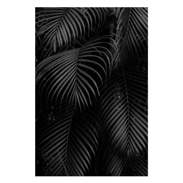 Obrazy do salonu nowoczesne Czarne liście palmy