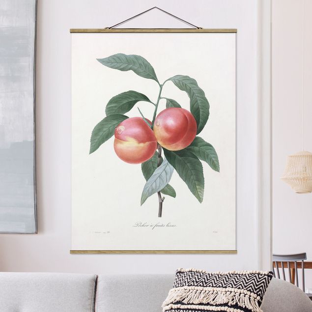 Obrazy z owocami Botany Vintage Illustration Peach