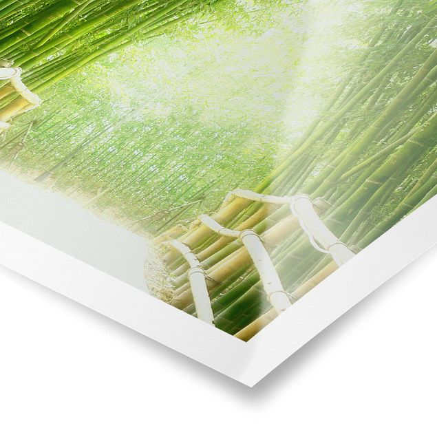 Obrazy krajobraz Droga bambusowa