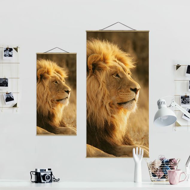 Obrazy lew Król lew