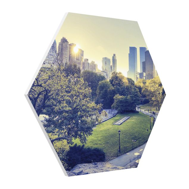 Obrazy Nowy Jork Pokojowy Central Park