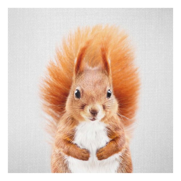 Obrazy nowoczesne Squirrel Elisabeth