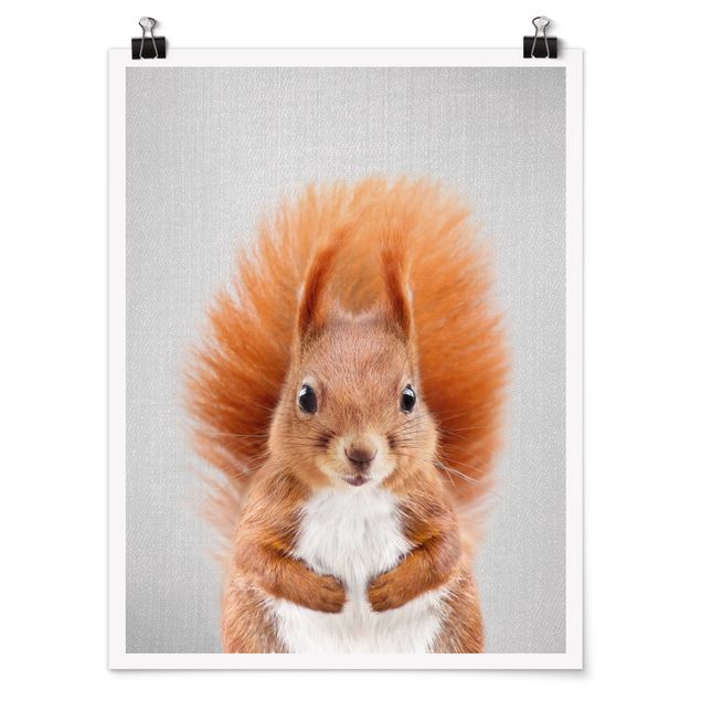 Obrazy zwierzęta Squirrel Elisabeth