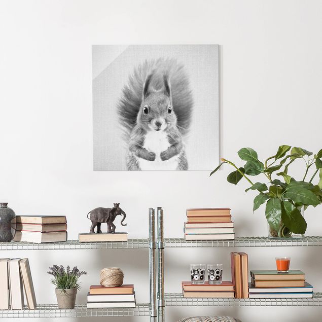Obrazy na szkle zwierzęta Squirrel Elisabeth Black And White
