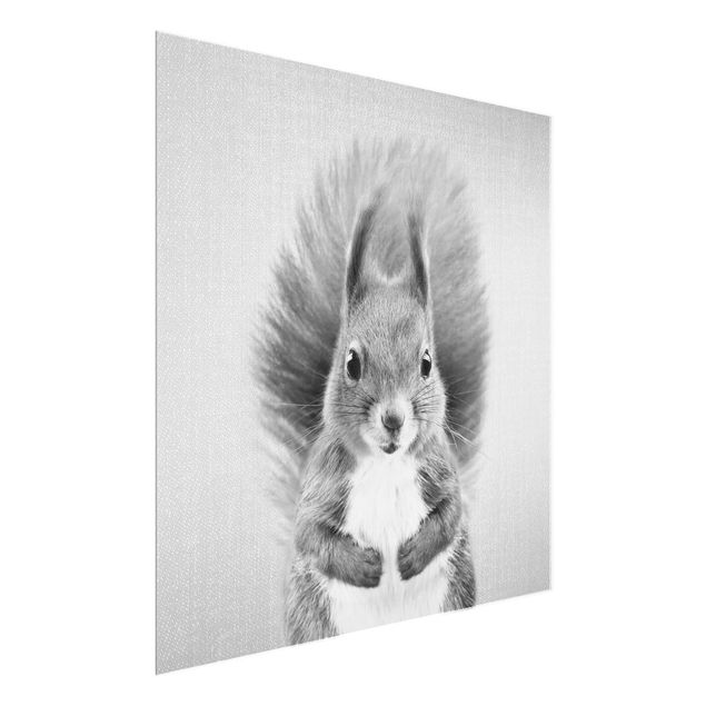 Obrazy do salonu Squirrel Elisabeth Black And White