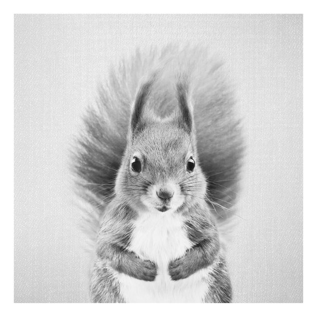 Obrazy nowoczesne Squirrel Elisabeth Black And White