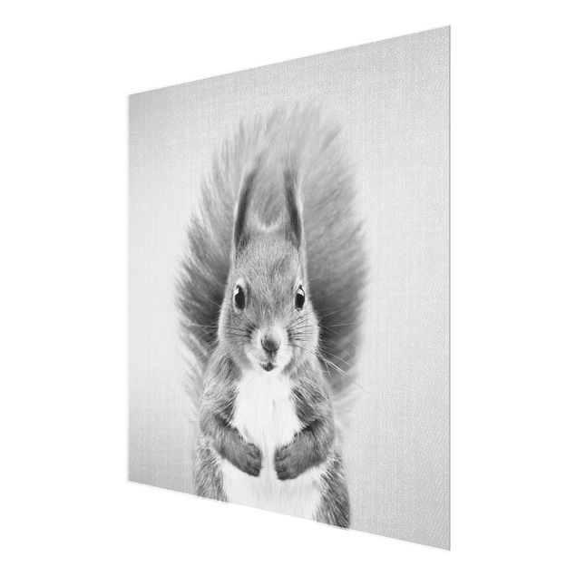 Obrazy zwierzęta Squirrel Elisabeth Black And White