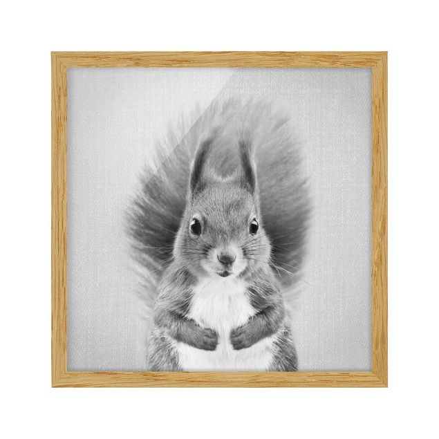Obrazy do salonu nowoczesne Squirrel Elisabeth Black And White