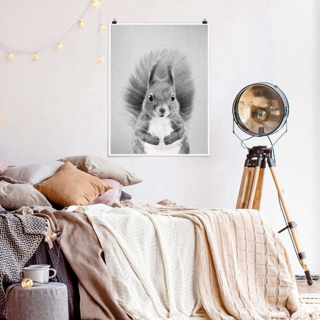 Obrazy nowoczesny Squirrel Elisabeth Black And White