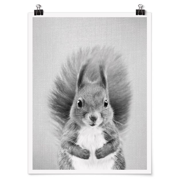 Obrazy ze zwierzętami Squirrel Elisabeth Black And White