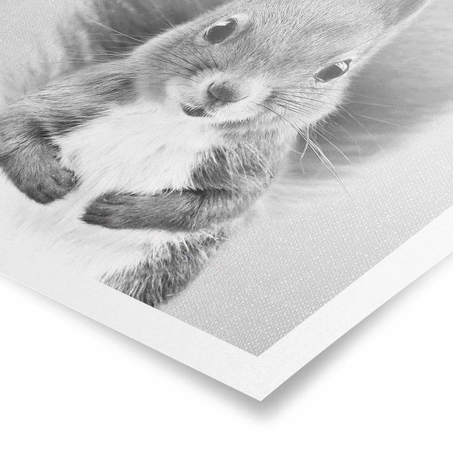 Obrazki czarno białe Squirrel Elisabeth Black And White