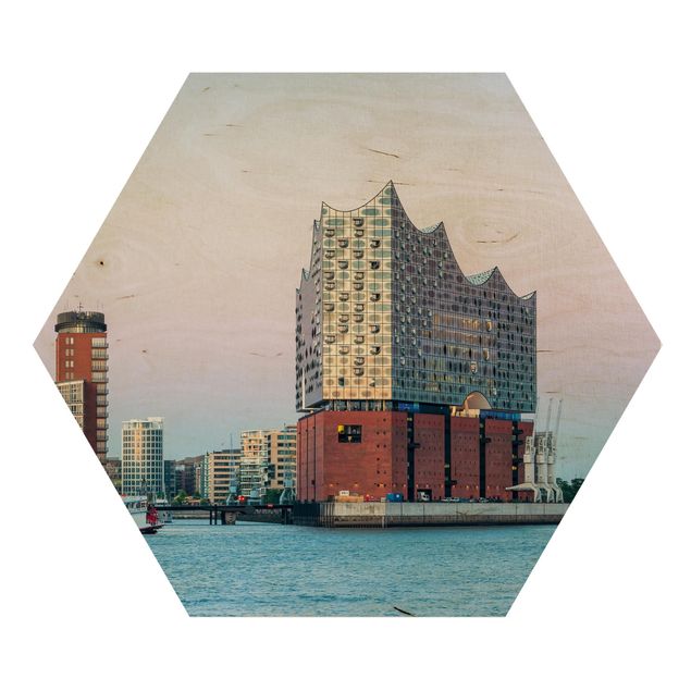 Obrazy architektura Elbphilharmonie Hamburg