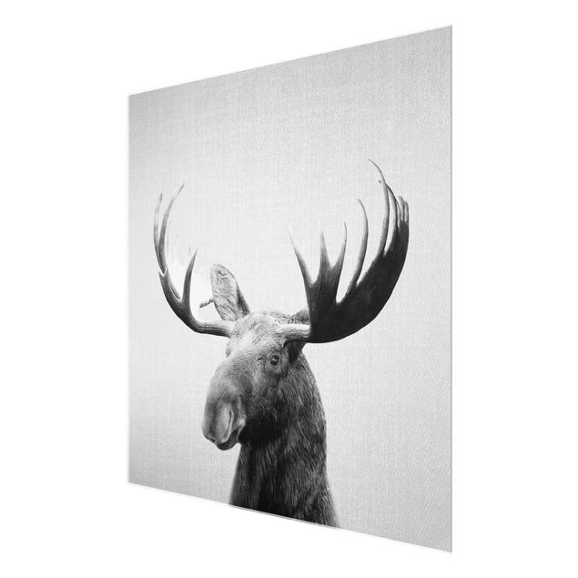 Obrazy ze zwierzętami Elk Erhardt Black And White