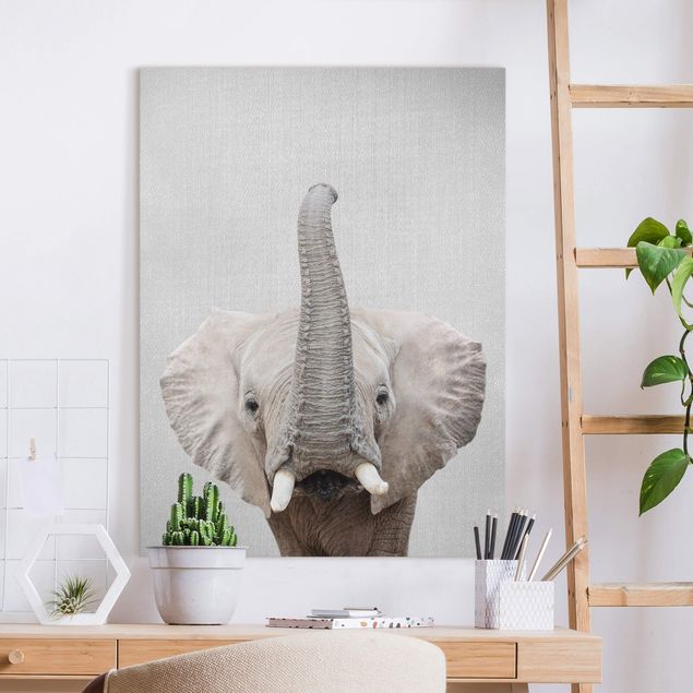 Słoń obraz Elephant Ewald
