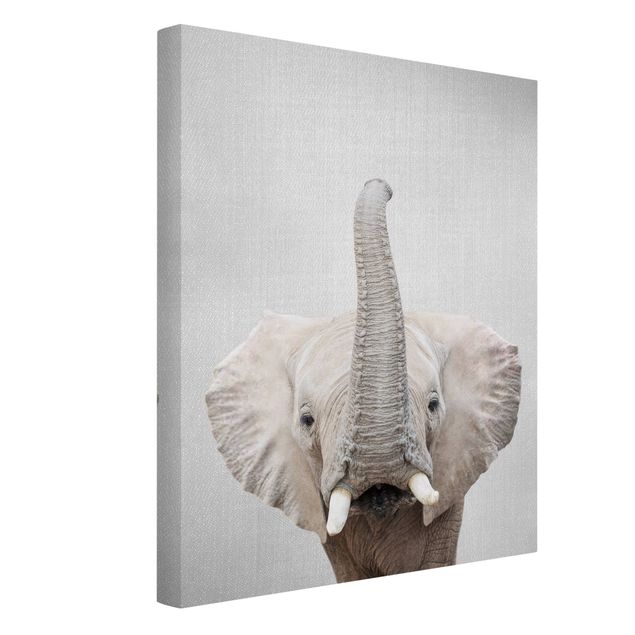 Nowoczesne obrazy Elephant Ewald