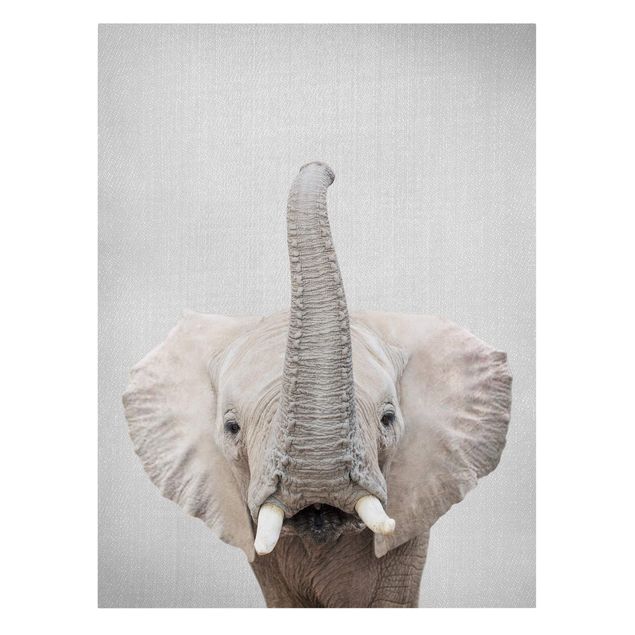 Zwierzęta obrazy Elephant Ewald