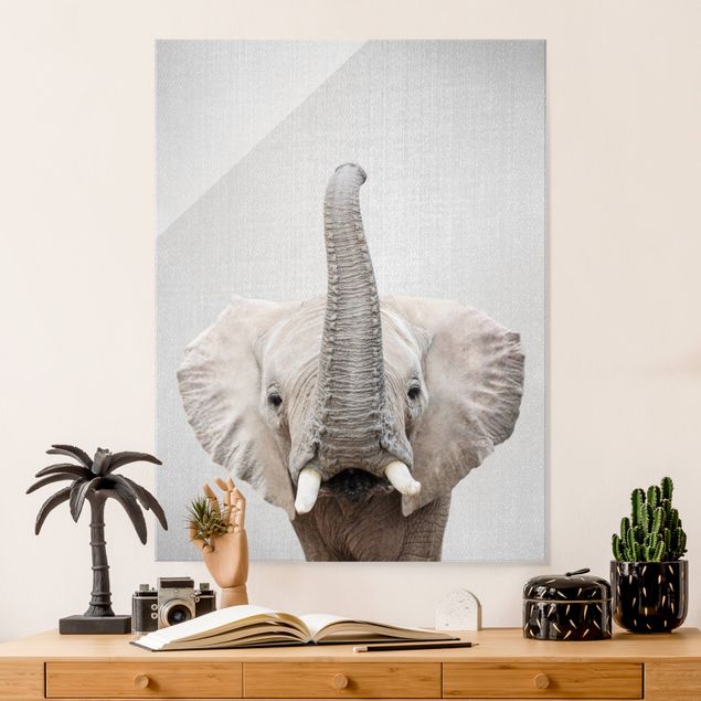 Obrazy słoń Elephant Ewald
