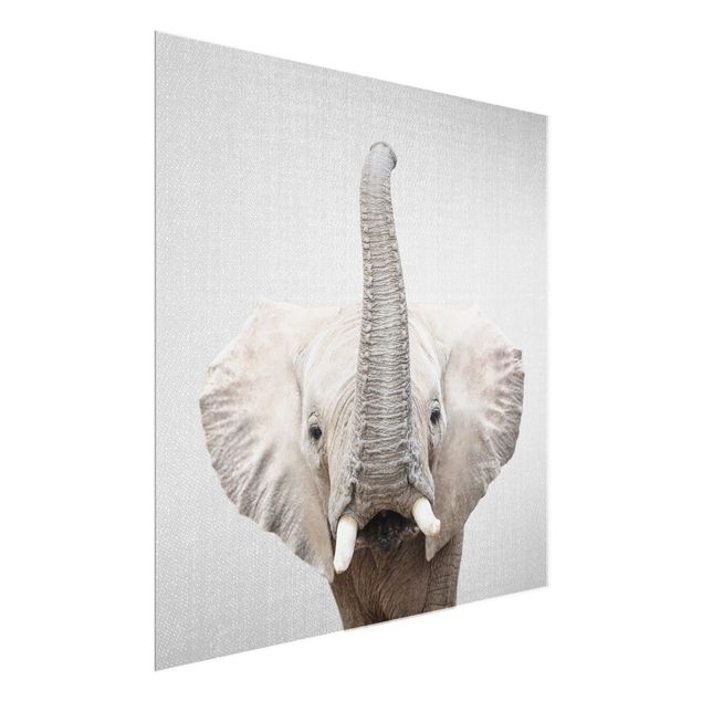 Obrazy na szkle zwierzęta Elephant Ewald