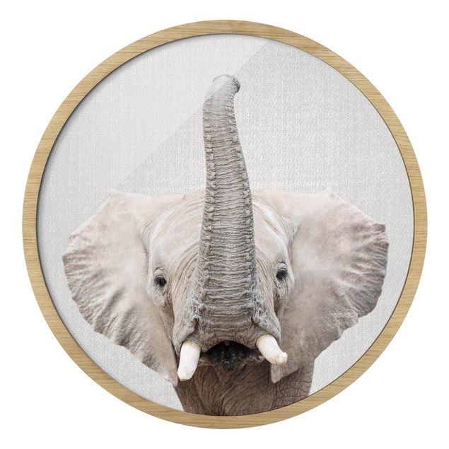 Obrazy w ramie zwierzęta Elefant Ewald