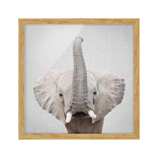 Obrazy w ramie zwierzęta Elephant Ewald