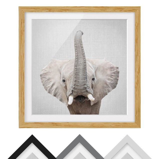 Obrazy nowoczesny Elephant Ewald