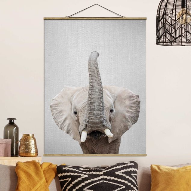 Obrazy słoń Elephant Ewald