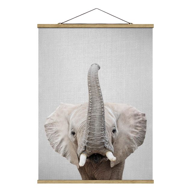 Obrazy nowoczesny Elephant Ewald