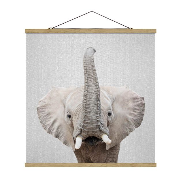 Nowoczesne obrazy Elephant Ewald